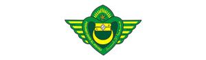 6.png